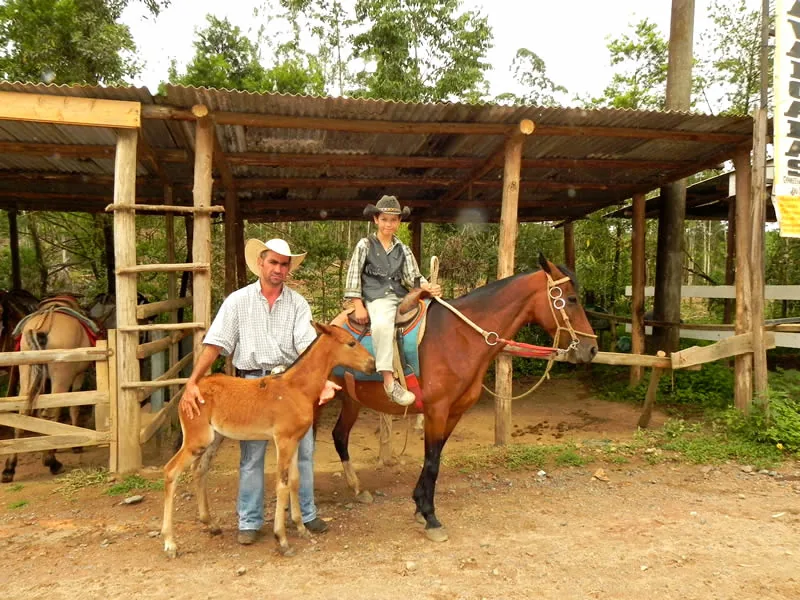 Monte Verde