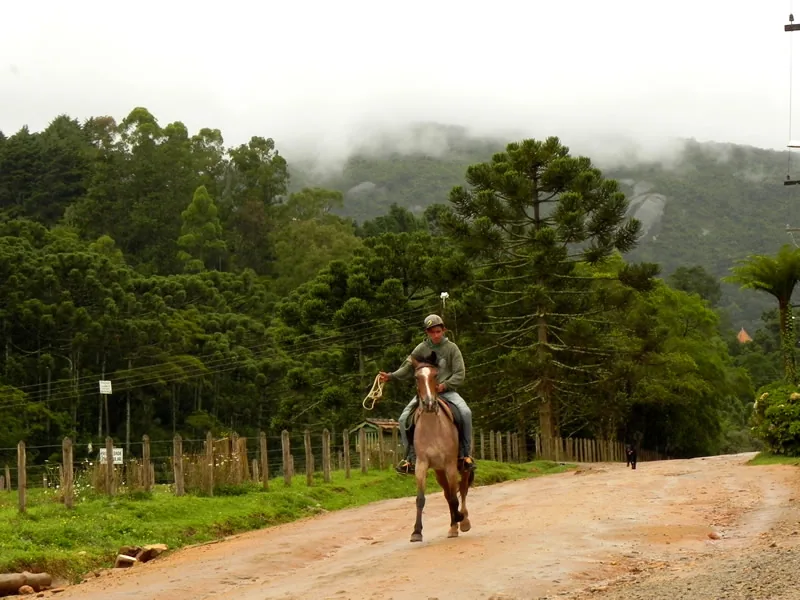 Monte Verde